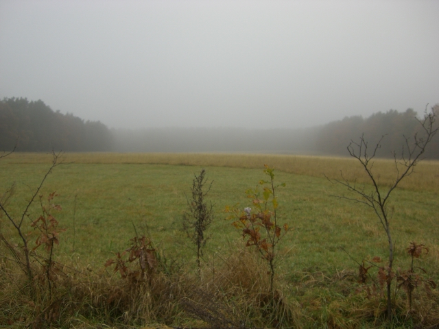 CTF-Kesselsee 030